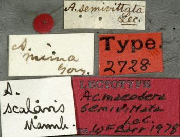 Media type: image;   Entomology 2728 Aspect: labels